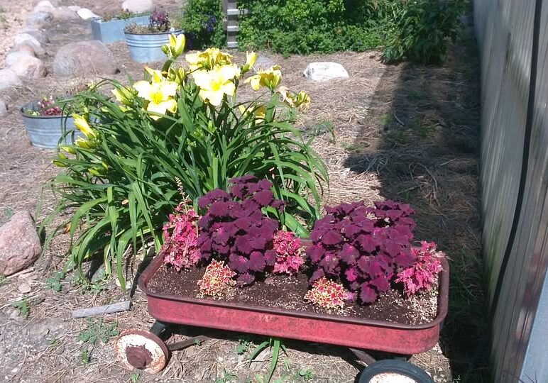 fun farm