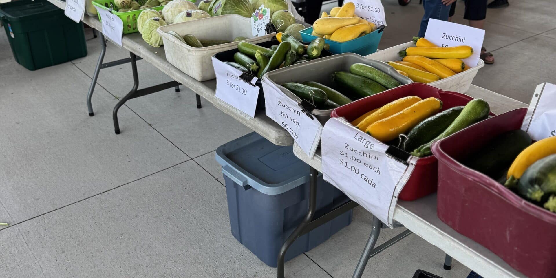 renee peters photo from the farmers market